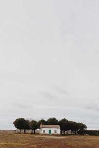 Alex Martinez avatar