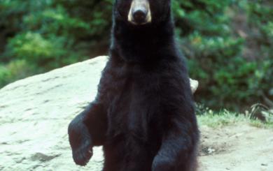 Jonas Richter profile photo