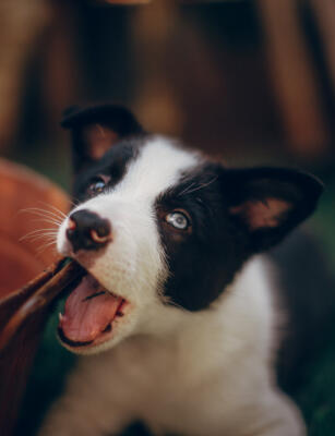 Maya Chen profile photo