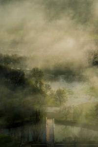 Sara Ibrahim avatar